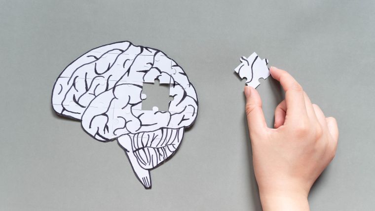 A jigsaw puzzle of the human brain